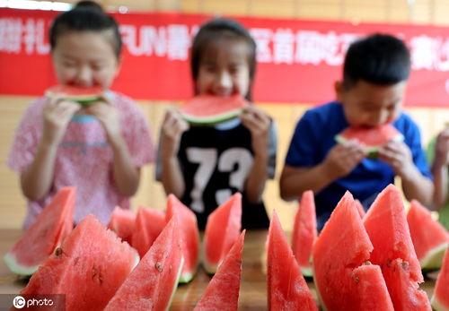 滨州吃瓜,吃瓜也能吃出风味 第2张 滨州吃瓜,吃瓜也能吃出风味 第2张